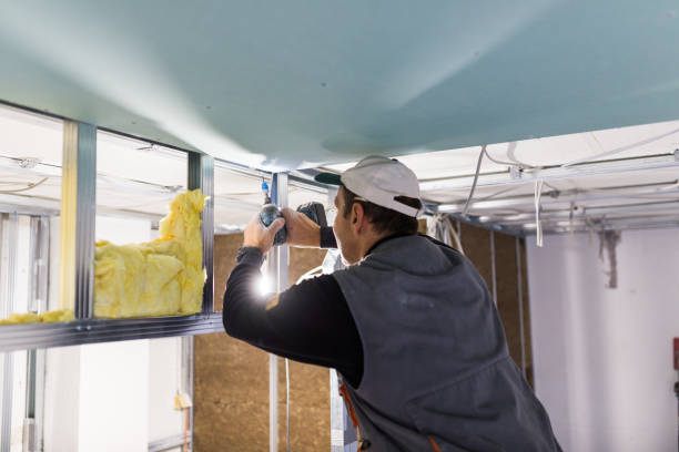 Best Insulation Maintenance and Repair in South Pittsburg, TN