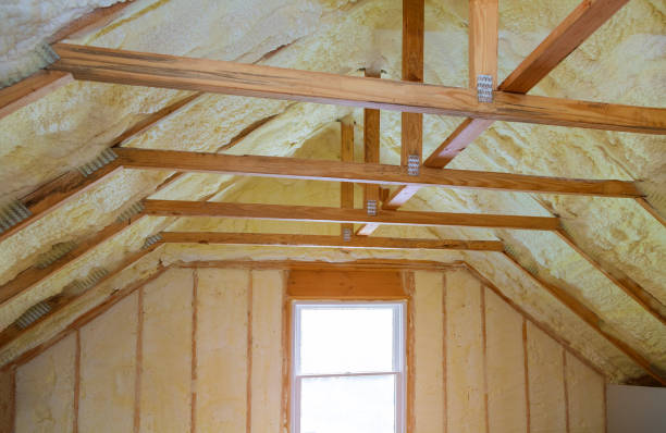 Best Cellulose Insulation in South Pittsburg, TN