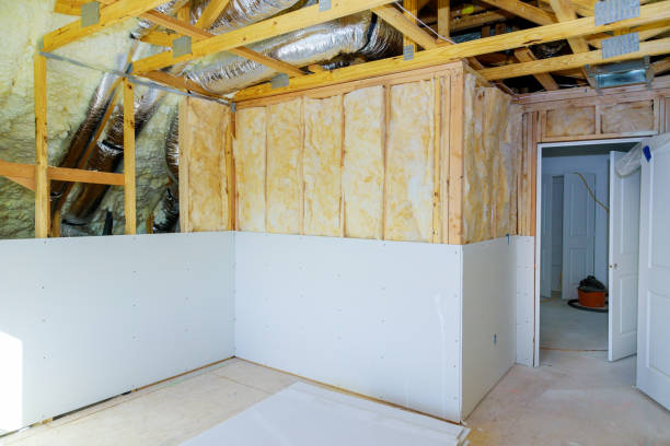 Best Eco-Friendly Insulation in South Pittsburg, TN