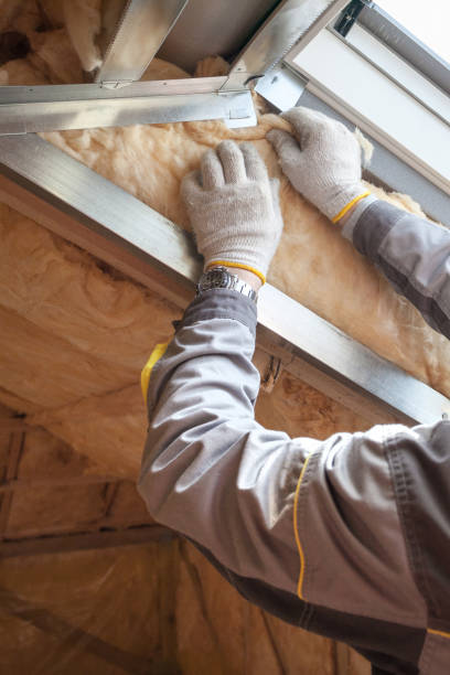 Best Specialized Insulation Services in South Pittsburg, TN