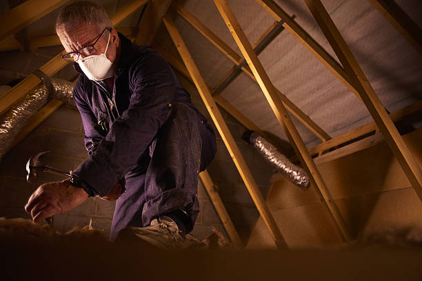 Reliable South Pittsburg, TN Insulation Contractor Solutions